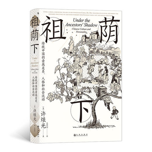 智慧宫024：祖荫下：传统中国的亲属关系、人格和社会流动 商品图0