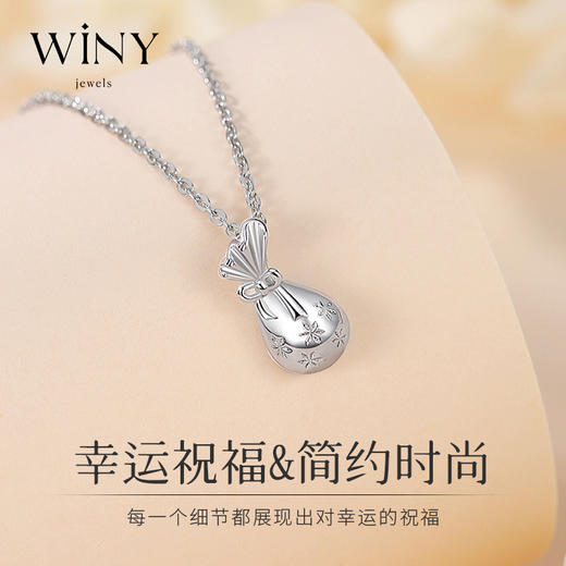 Winy925纯银幸运钱袋项链送女友闺蜜节日生日礼物 商品图3