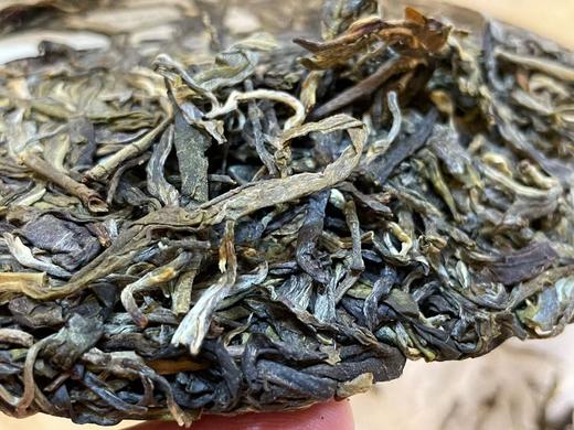 2023春 苦竹山古树  生普  357克/饼 商品图6