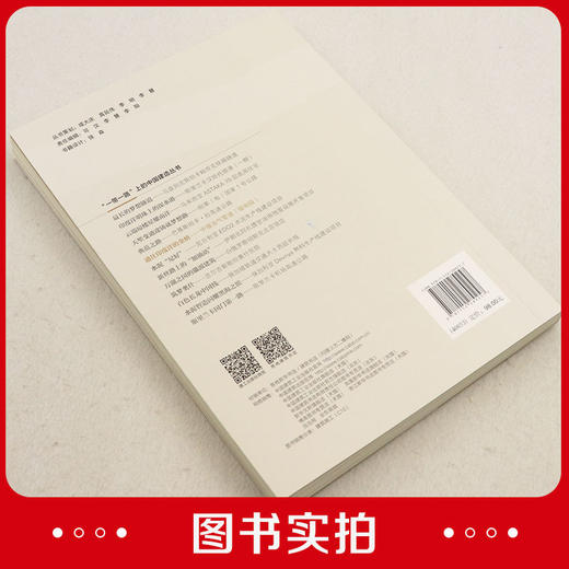 通往印度洋的金桥——中缅油气管道（缅甸段） 商品图3