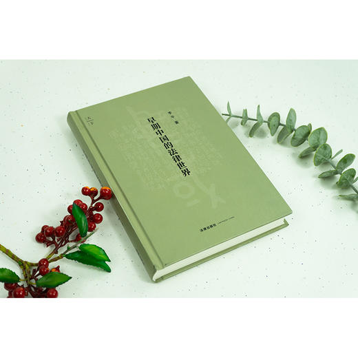 早期中国的法律世界 李平著 商品图2