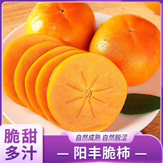 阳丰脆柿 商品图0