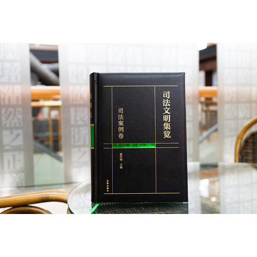 司法文明集览·司法案例卷	霍存福主编 商品图1