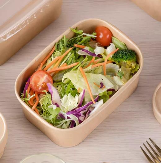 牛皮纸长方盒带盖  880ml  一次性饭盒餐盒外卖打包盒子寿司盒沙拉碗水果野餐盒便当盒 商品图0