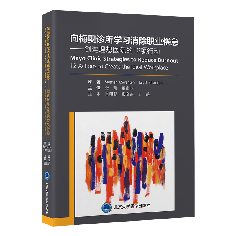 向梅奥诊所学习消除职业倦怠——创建理想医院的12项行动   樊荣　董家鸿 主译   北医社