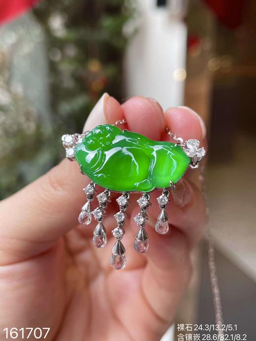 老坑玻璃种金鱼锁骨链【161707】具体价格 微信咨询 商品图5