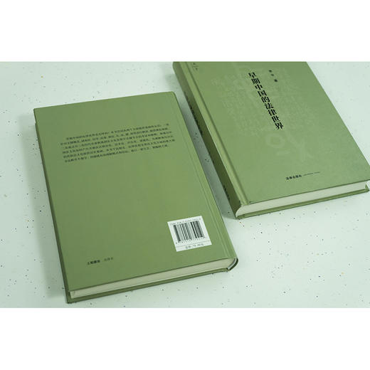 早期中国的法律世界 李平著 商品图6