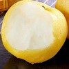 新鲜水果  馋嘴梨5斤 商品缩略图1