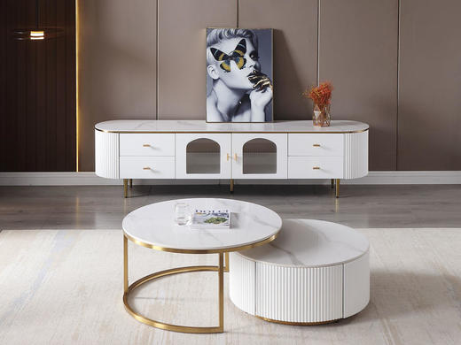 宜臣家具现代简约 电视柜岩板+E1级中纤板+不锈钢[免费送装，偏远地区除外] 商品图2