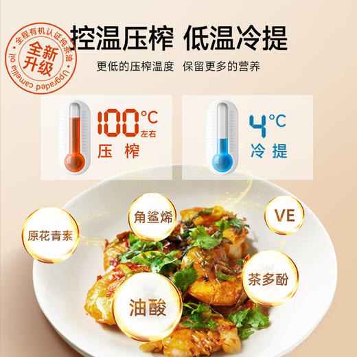 【乡村振兴结伴同行】500ml有机冷榨茶油 商品图1