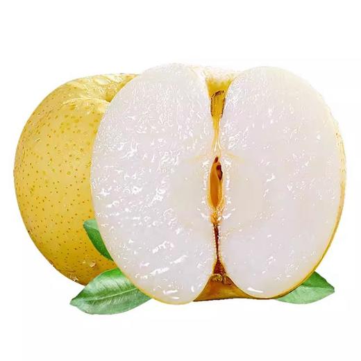新鲜水果  馋嘴梨5斤 商品图0