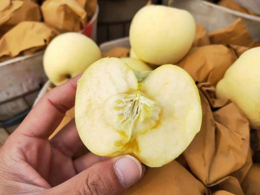 黄金奶油富士（2250g） 商品图2