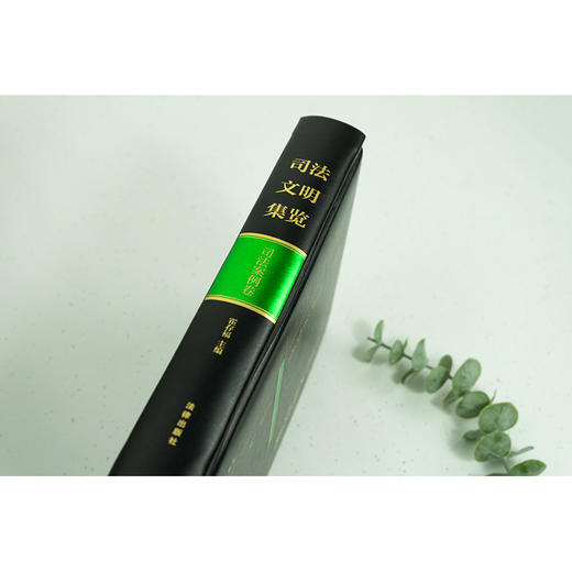 司法文明集览·司法案例卷	霍存福主编 商品图4