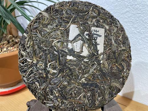2023春 苦竹山古树  生普  357克/饼 商品图2