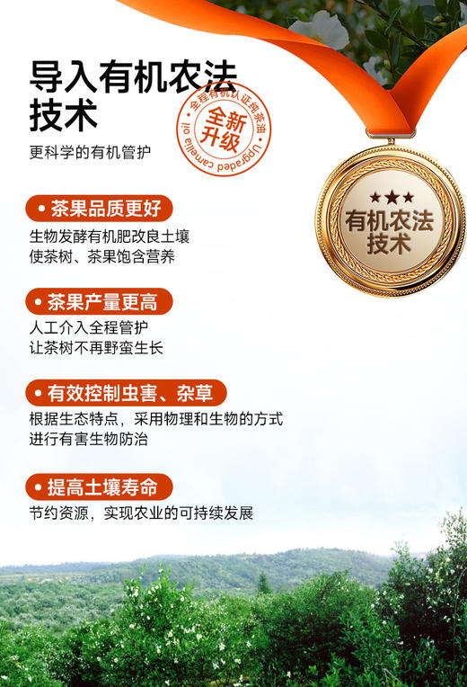 【乡村振兴结伴同行】500ml有机冷榨茶油 商品图3