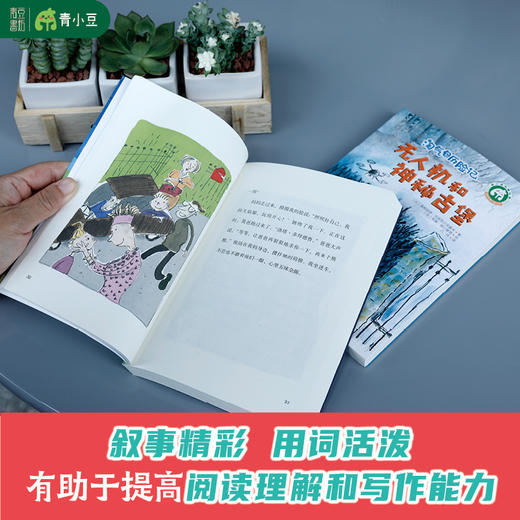 淘气包历险记 全5册 百班千人国际畅销儿童冒险小说幽默爆笑 商品图3