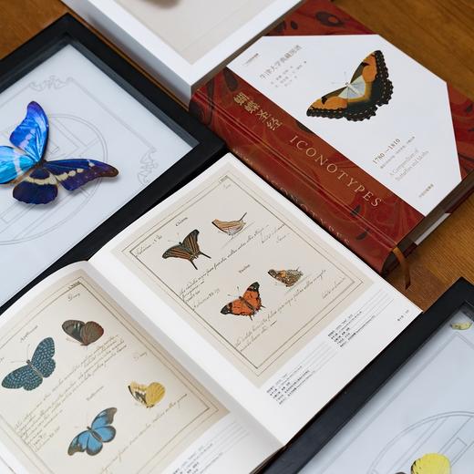 中信出版 | 蝴蝶圣经：牛津大学典藏图谱 商品图3