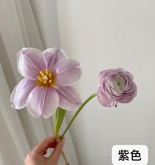 染色剂 ｜ 薇阁出品【包邮到家，任意颜色可搭配】 商品图8