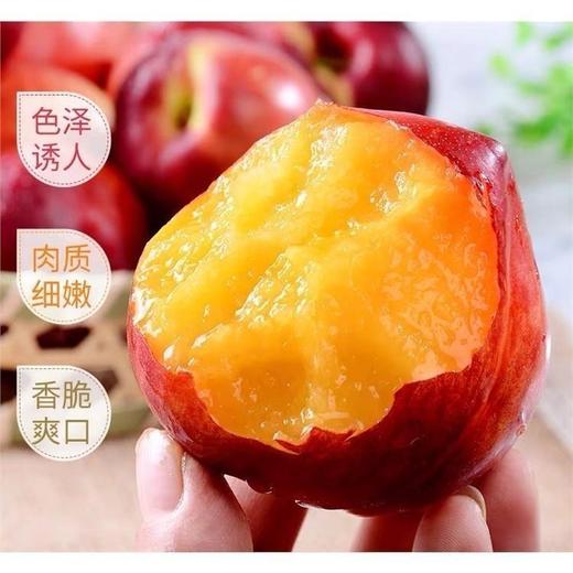 【肉嫩多汁 甜蜜爽滑】新疆火焰蜜桃礼盒装 9颗/12颗 4斤装 商品图1