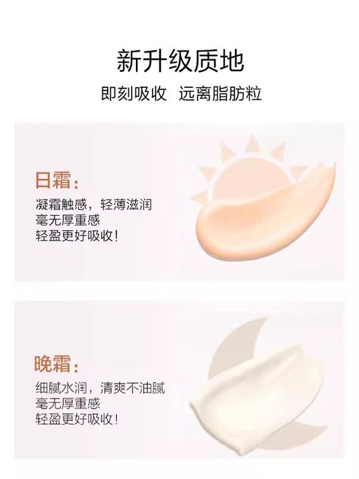 娇韵诗弹簧霜面霜日晚霜 弹力日霜50ml + 晚霜50ml一套 紧致抗皱 商品图2