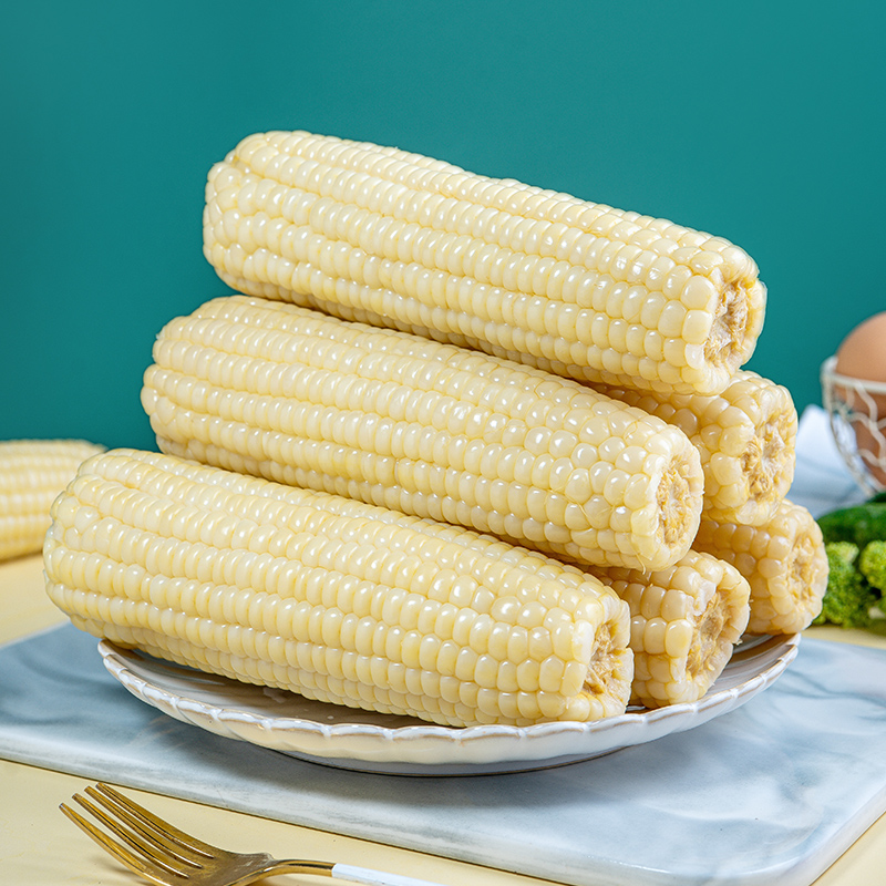 「3糯1甜 双重口感」有机雪糯凝香玉米 10根彩箱装 220g/根  高山生态种植有机白玉米