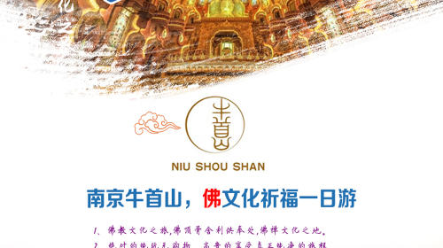 牛首山一日游 商品图0