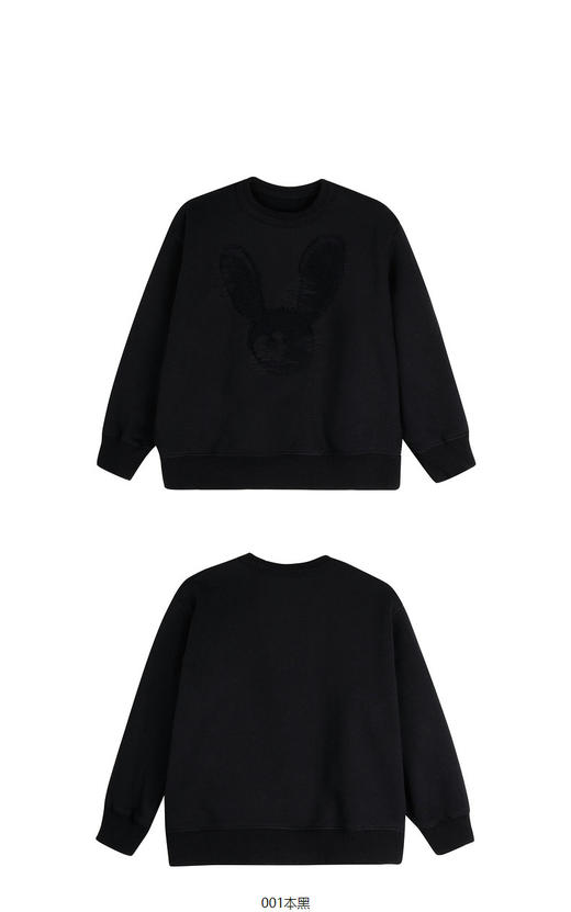 jnby  23年冬款  套头卫衣 1NA412270 商品图12