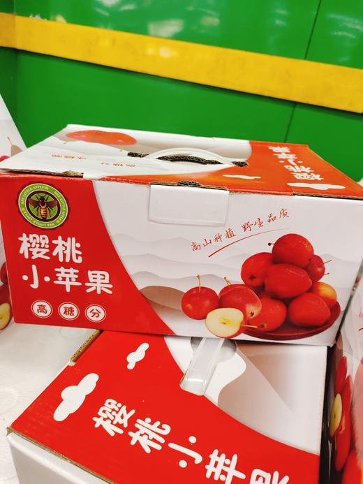 龙丰果一箱 商品图0