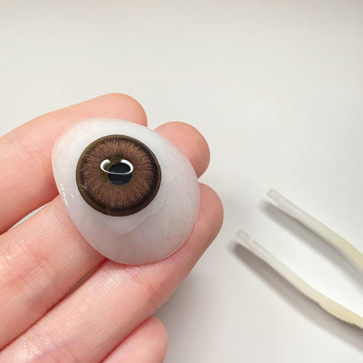 【🤹日抛 · 店主推荐】浪漫生长 日抛 GUGUCON 商品图3