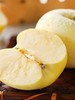 黄金奶油富士（2250g） 商品缩略图6