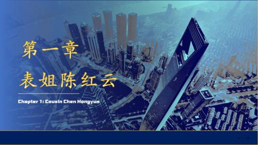 第一章 表姐陈红云 商品图0