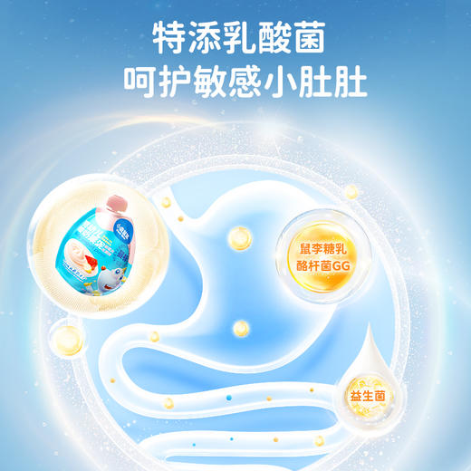 【赠品单拍不发】蓝蓝辅食_婴幼儿酸奶果泥/雪梨猕猴桃味/100g*2 商品图3