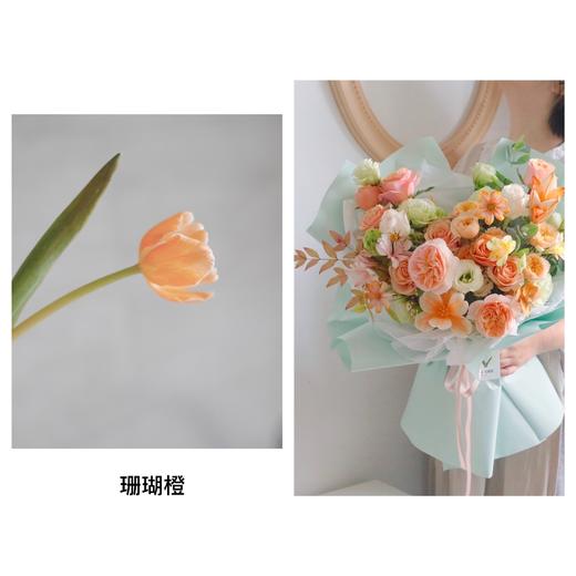 染色剂 ｜ 薇阁出品【包邮到家，任意颜色可搭配】 商品图11