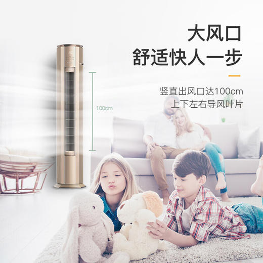 格力/空调/KFR-100LW/(10583)FNhEa-B3(WIFI)(奢华金)/冷静尊 4匹柜机 立柜式空调 新能效变频冷暖两用 商品图5
