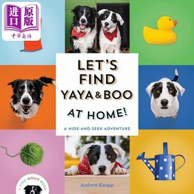 【中商原版】Lets Find Yaya And Boo At Home寻找莫莫3 我们去家里找亚亚和布吧 英文原版纸板书 认知识物 亲子绘本图画书