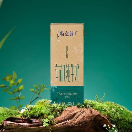 特仑苏有机纯牛奶(3.6蛋白质) 商品图1