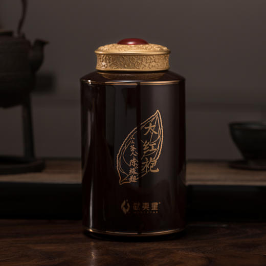 武夷星 蕴藏廿载 大红袍 礼盒装200g 商品图3