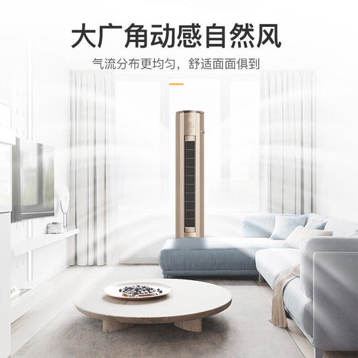 格力/空调/KFR-100LW/(10583)FNhEa-B3(WIFI)(奢华金)/冷静尊 4匹柜机 立柜式空调 新能效变频冷暖两用 商品图1