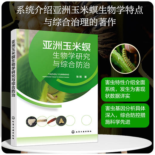 亚洲玉米螟生物学研究与综合防治 商品图0