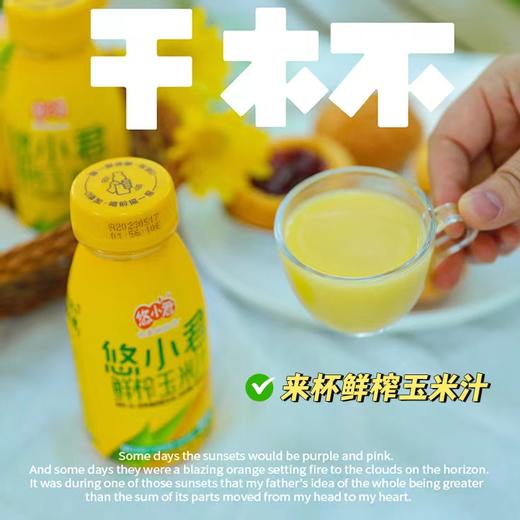 【悠小君】0添加鲜榨玉米汁230g*10瓶 商品图4