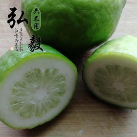 【弘毅六不用生态农场】六不用柠檬 青柠檬 不套袋 无农残