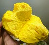 开花南瓜馒头480g/6只装 | 包点 商品缩略图6
