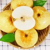 新鲜水果  馋嘴梨5斤 商品缩略图3