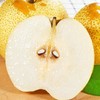 新鲜水果  馋嘴梨5斤 商品缩略图2