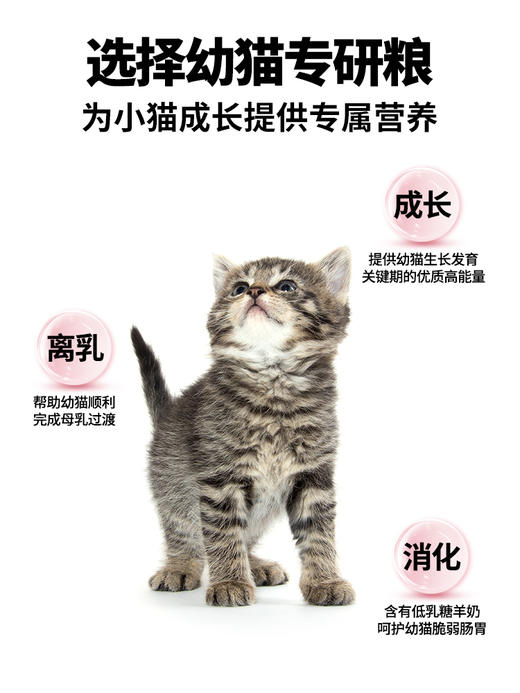 诚实一口K01幼猫孕猫猫粮1.5kg/包 商品图1