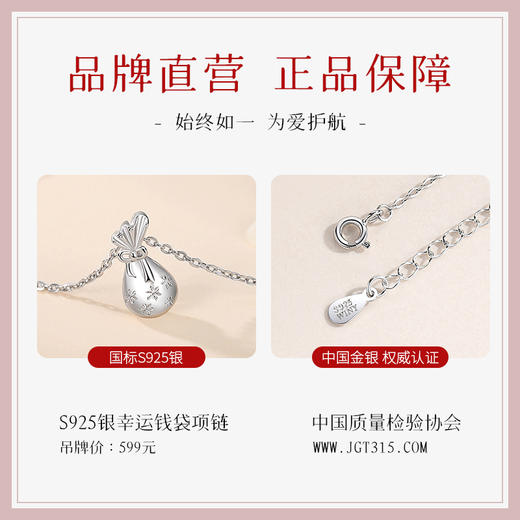 Winy925纯银幸运钱袋项链送女友闺蜜节日生日礼物 商品图1