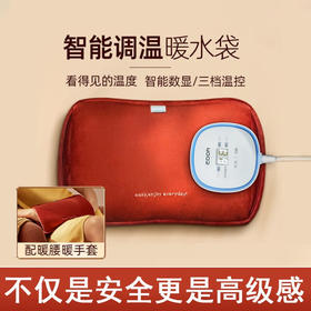 爱登（edon）【N50Y内胆+保暖腰带+智能充电头】 热水袋充电暖手宝送女友老婆暖肚子大姨妈神器智能控温安全防爆腰带暖水袋经期热敷电暖宝