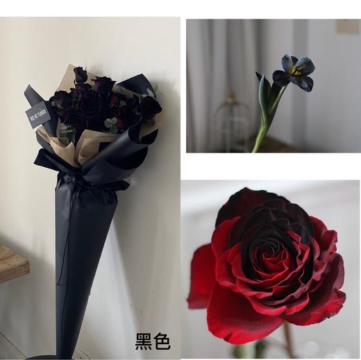 染色剂 ｜ 薇阁出品【包邮到家，任意颜色可搭配】 商品图9