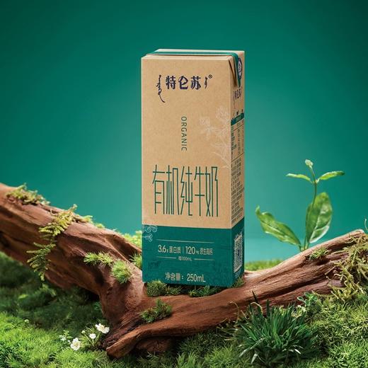 特仑苏有机纯牛奶(3.6蛋白质) 商品图3