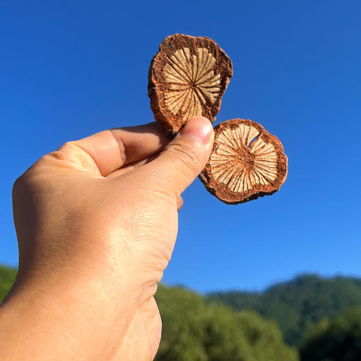 『云南野生大血藤』无熏染无添加，干燥切片，可煎汤、泡酒、煮蛋花汤、炖猪蹄 商品图8